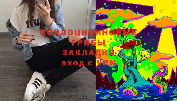 прущая мука Дмитриев