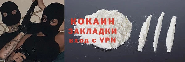 прущая мука Дмитриев