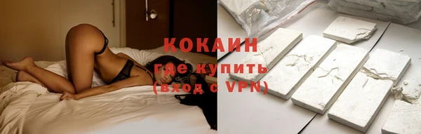 дмт Дмитров