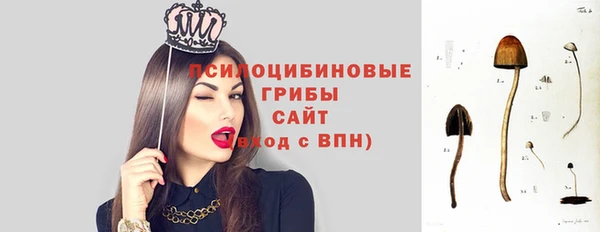 ПСИЛОЦИБИНОВЫЕ ГРИБЫ Дмитровск