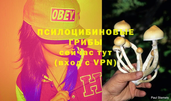 дмт Дмитров