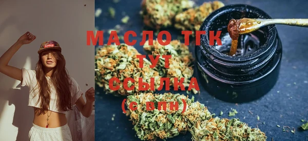 дмт Дмитров