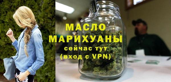 дмт Дмитров