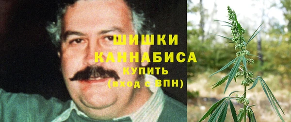 прущая мука Дмитриев