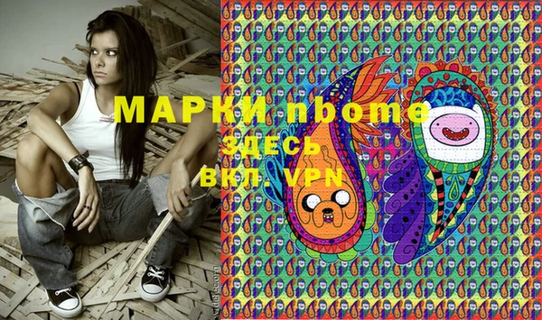 дмт Дмитров