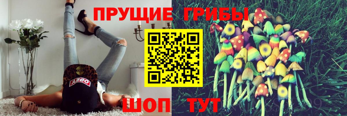 Псилоцибиновые грибы GOLDEN TEACHER Дятьково
